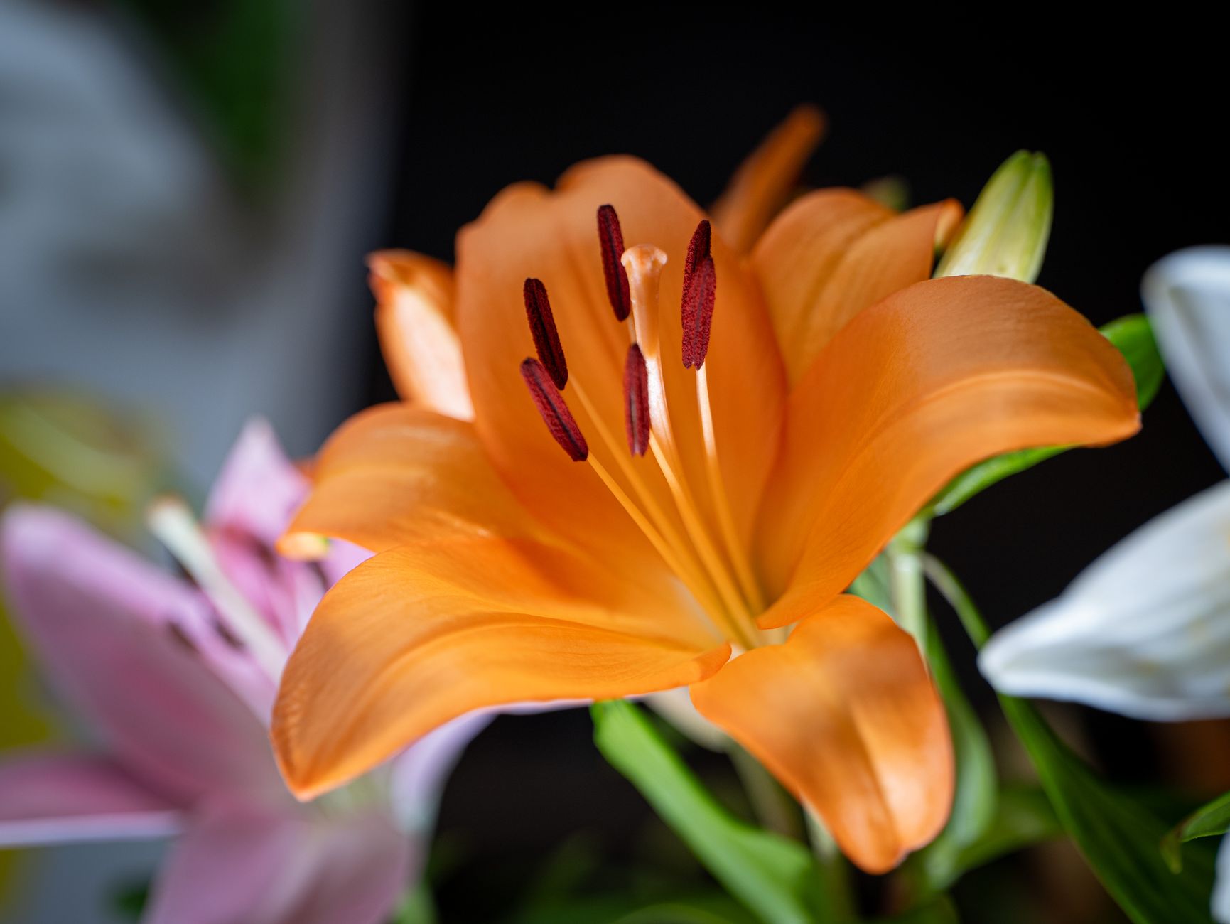 Livraison fleurs à Ivry-sur-Seine
